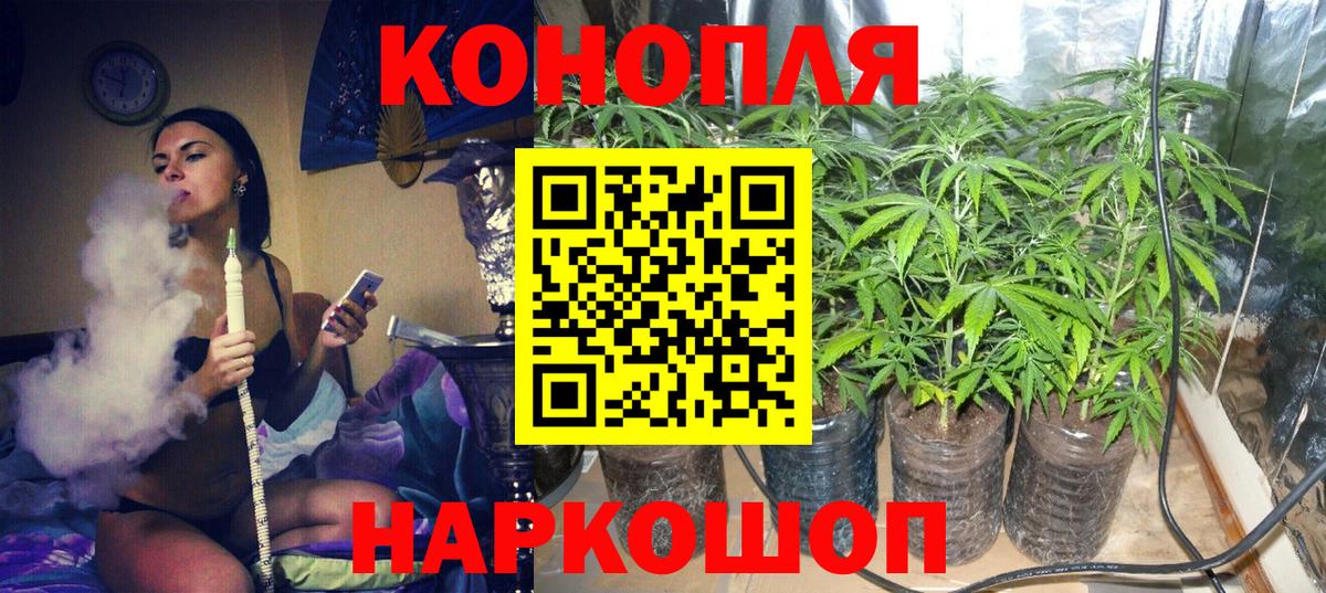 Бошки марихуана гибрид  Бошки Шишки Ganja  Марихуана THC 21%  Бошки марихуана сатива  Вход с VPN  Лянтор 